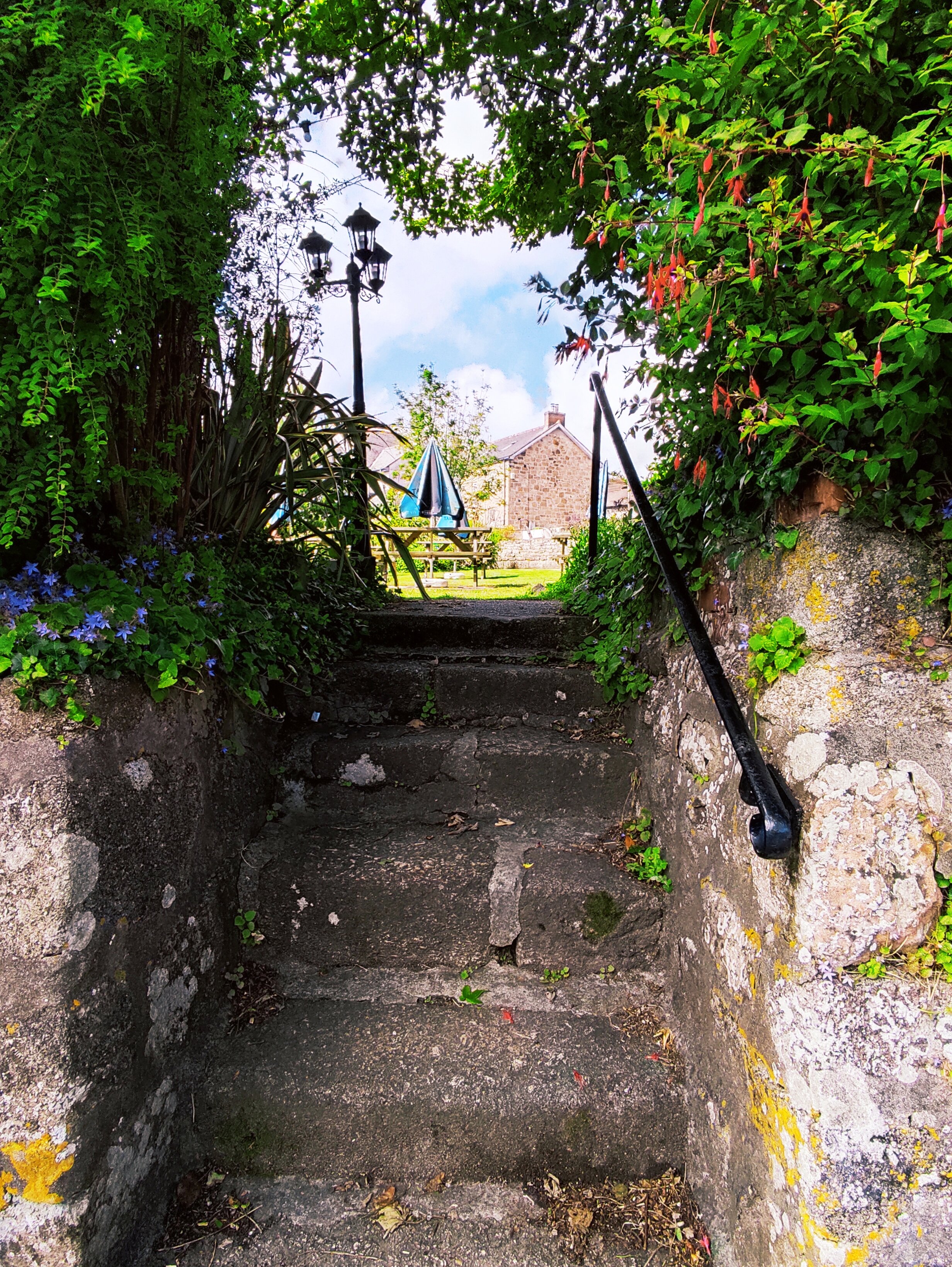 The Badger Inn 5